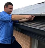 Birdfree Pest Management