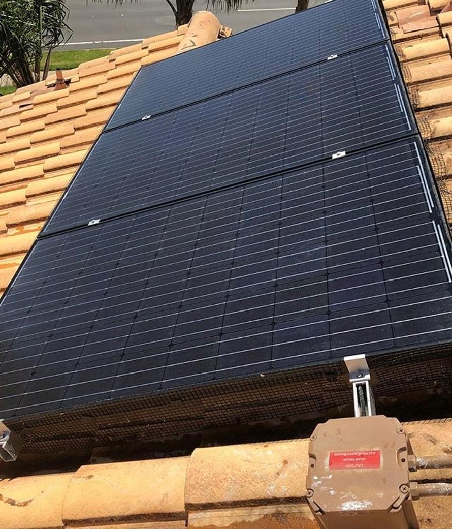 Birdfree Pest Management