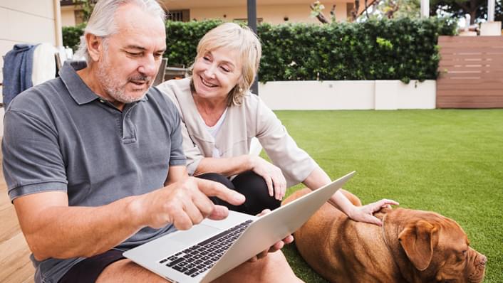 Birdfree Pest Management