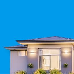 Birdfree Pest Management