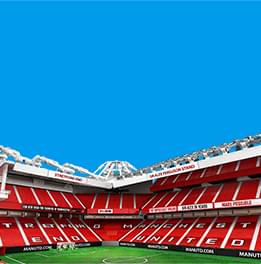 Birdfree Pest Management