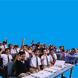 Birdfree Pest Management