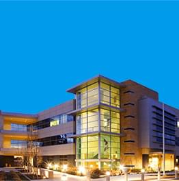 Birdfree Pest Management