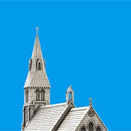 Birdfree Pest Management