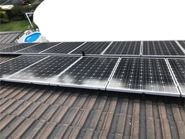 Birdfree Pest Management