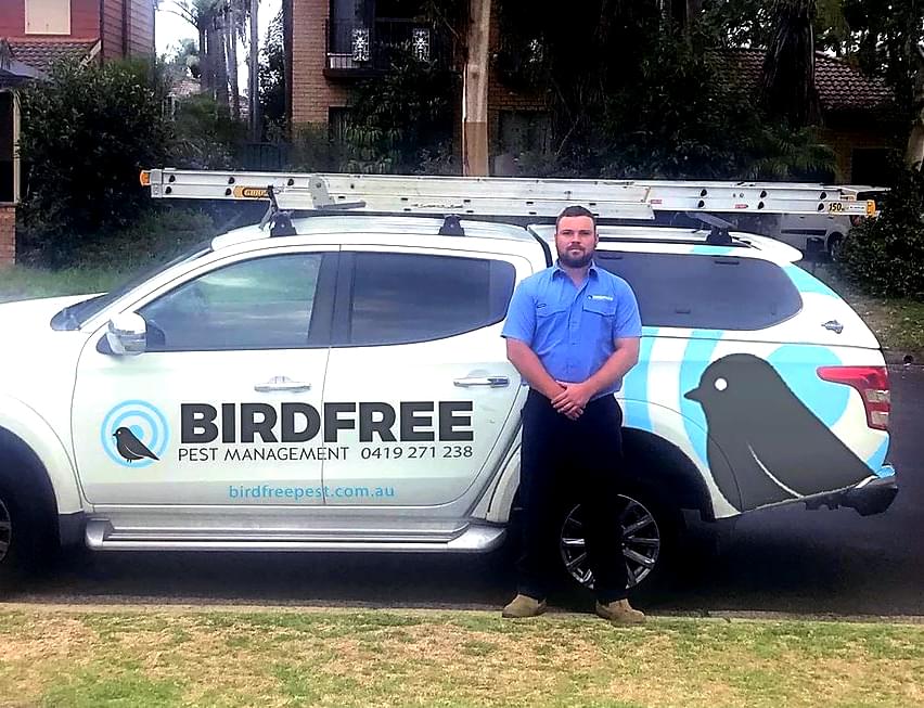 Birdfree Pest Management